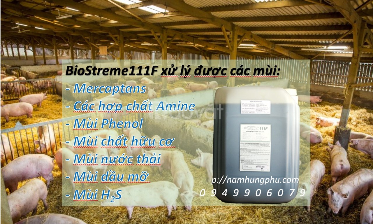 Biostreme111F xử lý mùi hôi chuồng trại, khu chứa phân trong chăn nuôi