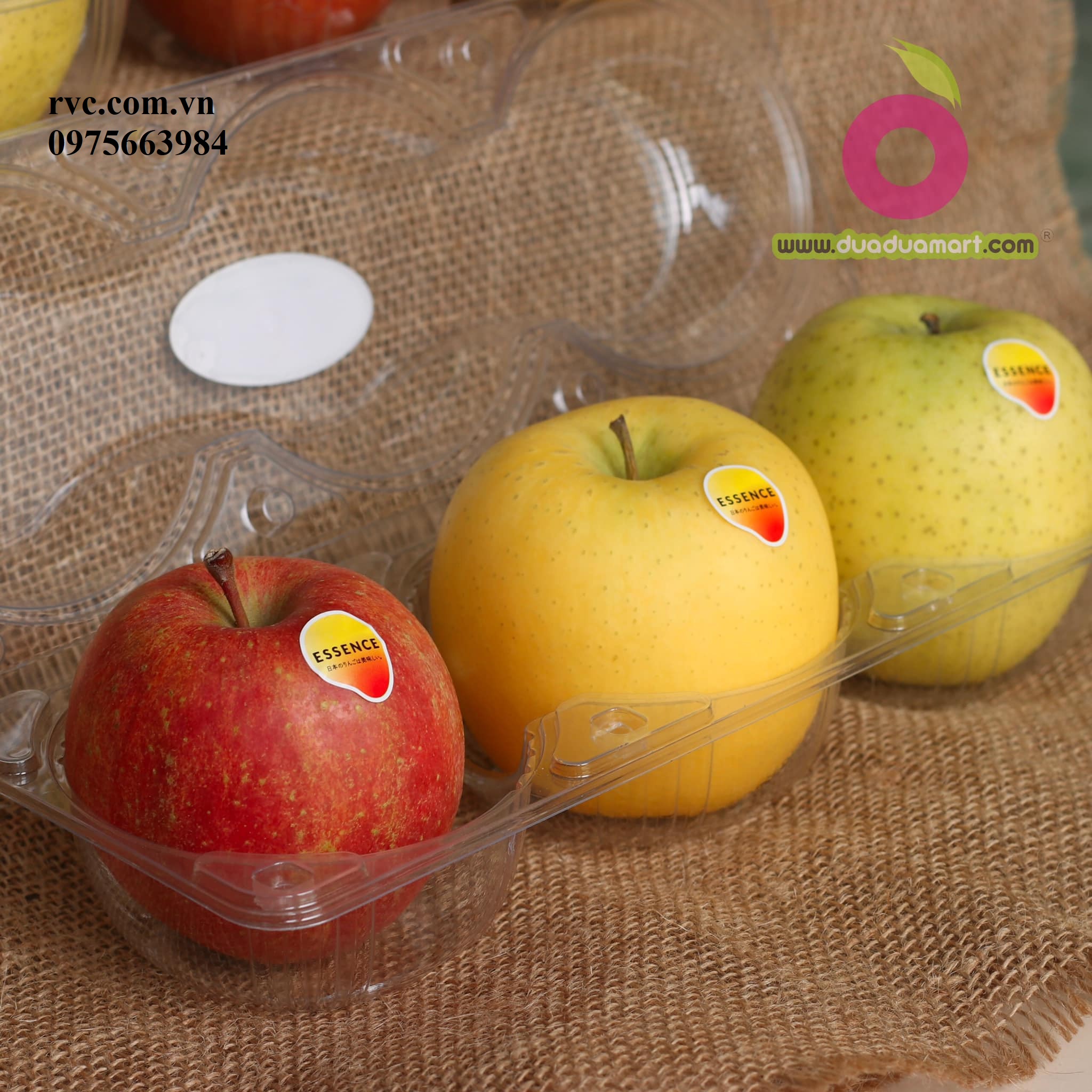 Mẫu hộp nhựa đựng 3 trái táo được ưa chuộng nhất hiện nay  2853983135561850368