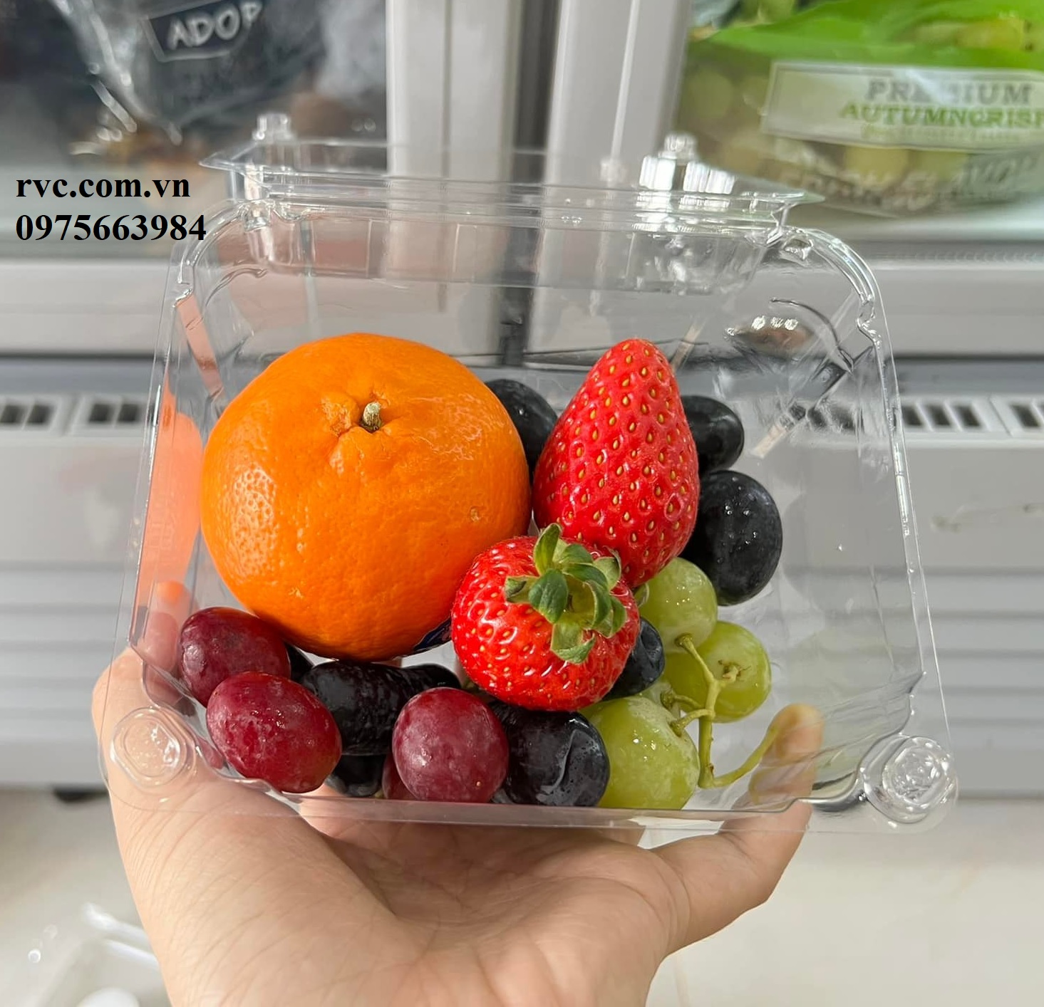hộp-nhựa-đựng-trái-cây - Nơi bán hộp nhựa đựng hoa quả 500g P500D giá rẻ nhất HCM  1083960765546230528