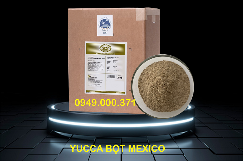 Yucca bột Mexico nguyên liệu giúp xử lý NH3 ao nuôi thủy sản