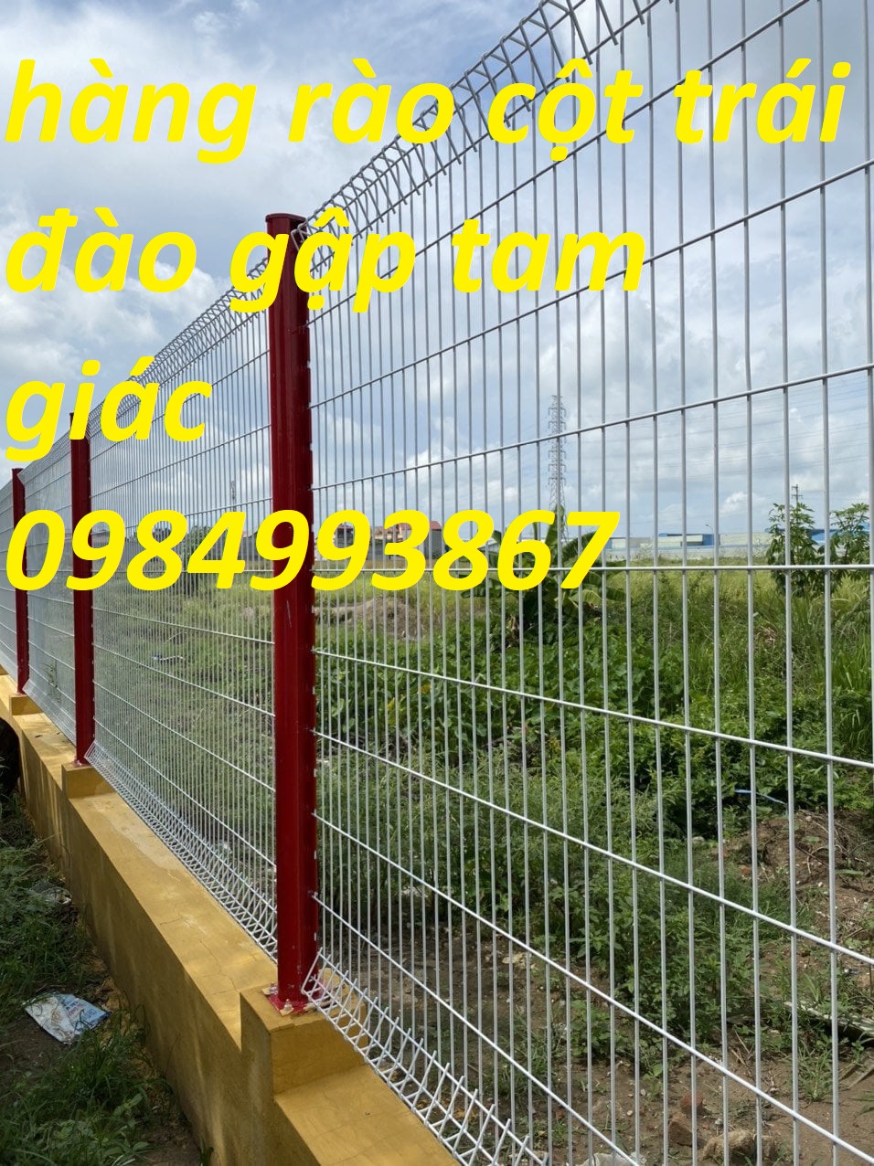 Cột trái đào hàng rào mạ kẽm sơn tĩnh điện Phi 5 a 50x200mm