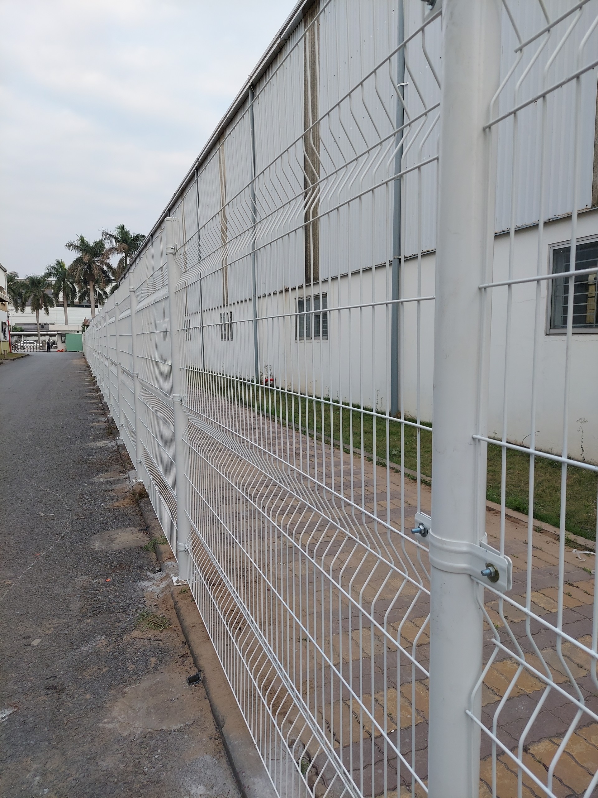 Chuyên cung cấp hàng rào lưới thép hàn - lưới dập giãn