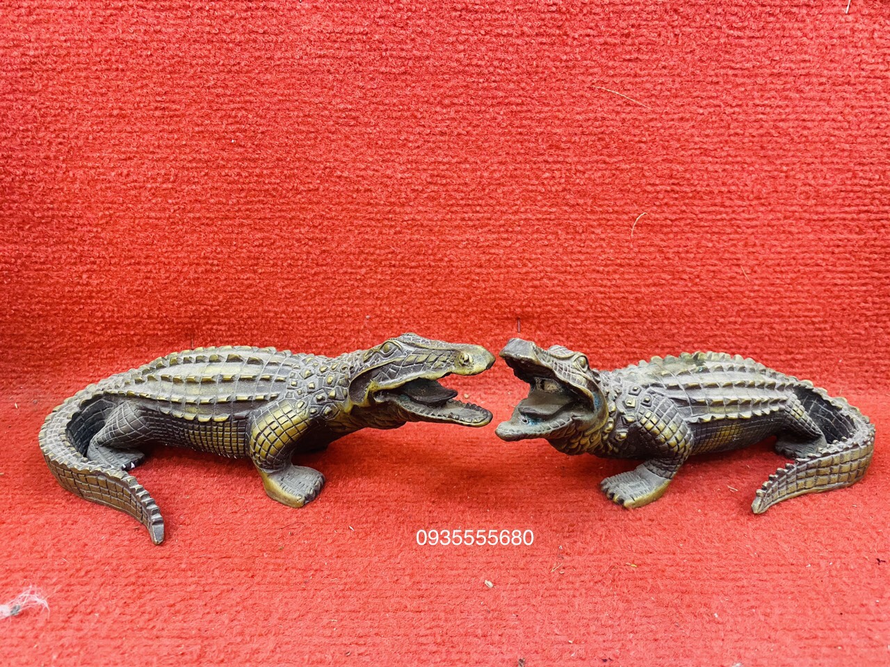 Giao lưu đôi cá sấu đồng đúc