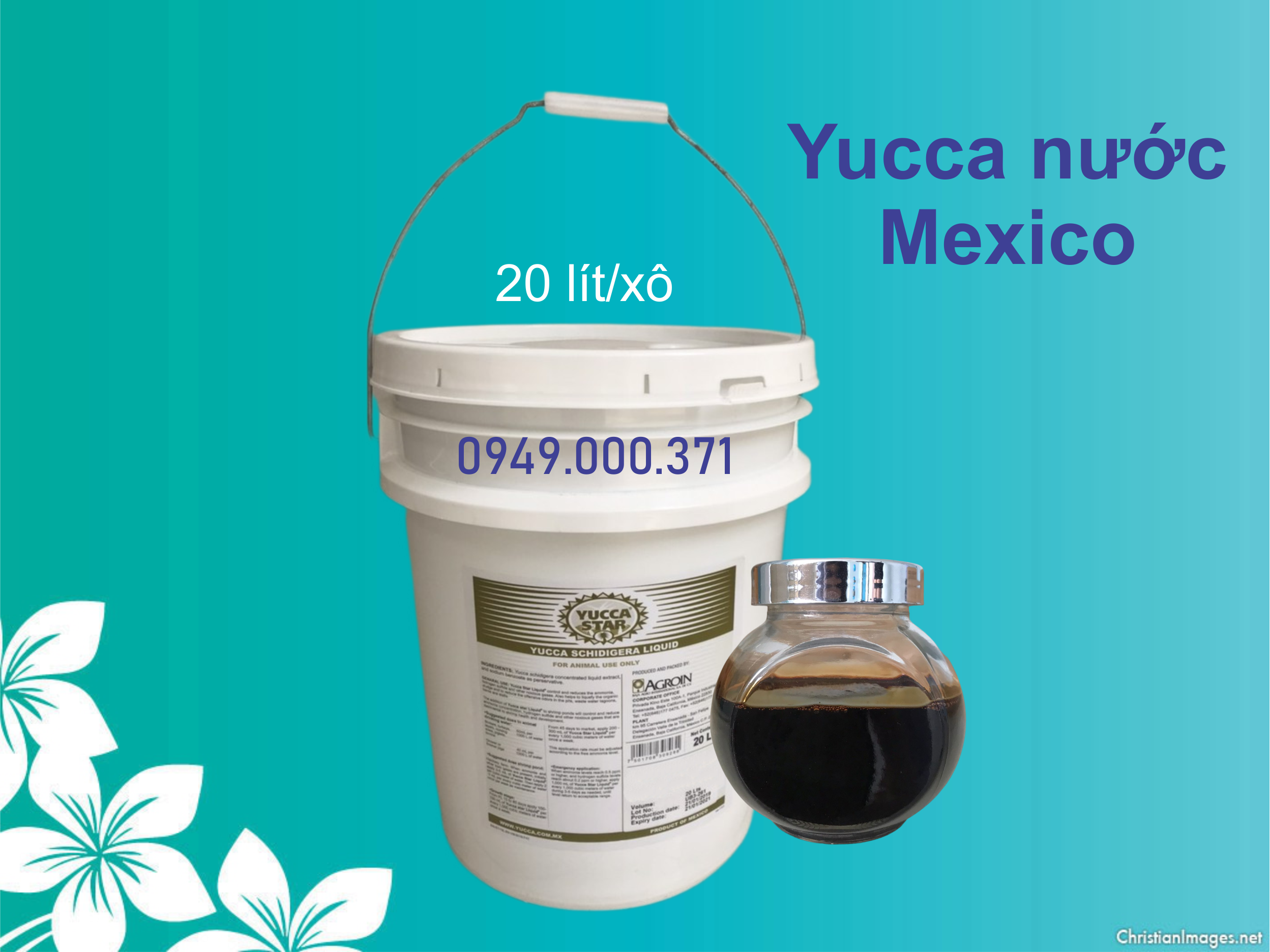 Yucca nước, yucca nguyên liệu, yucca star liquid Mexico