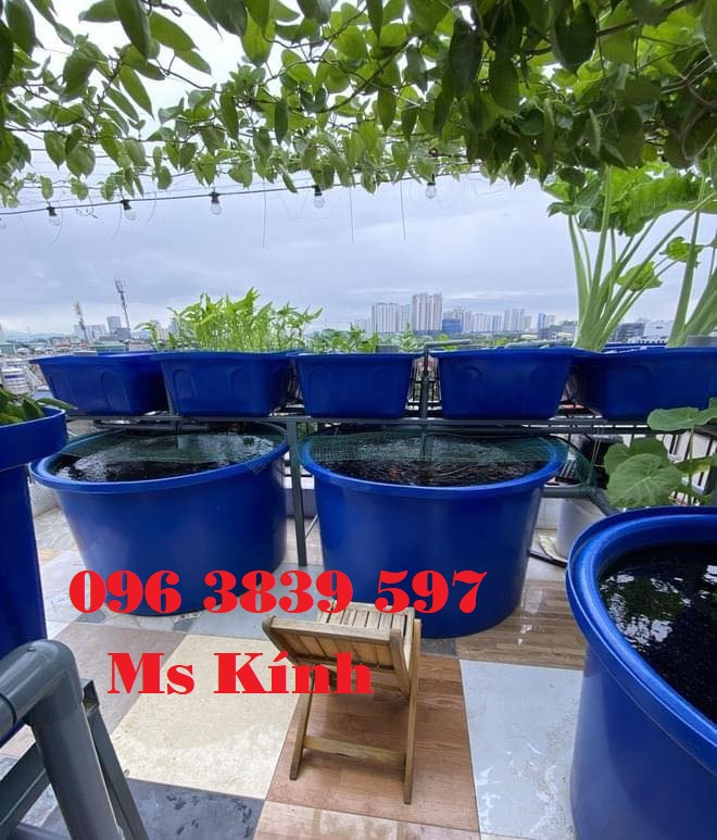 Cung cấp thùng nhựa tròn nuôi cá, trồng cây - 0963839597 Ms Kính