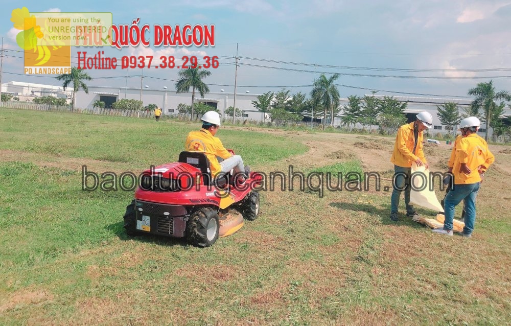 Cắt cỏ phát hoang giá rẻ bằng máy chuyên dụng ở HCM, Đồng Nai