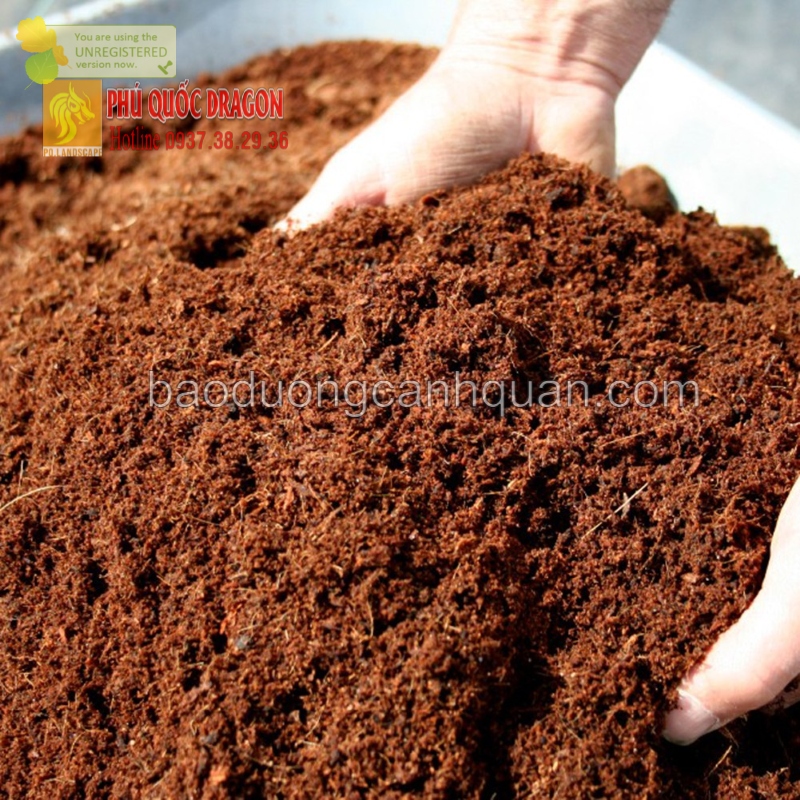 Đất màu trồng cây sạch, đất phù sa ở TPHCM, Đồng Nai