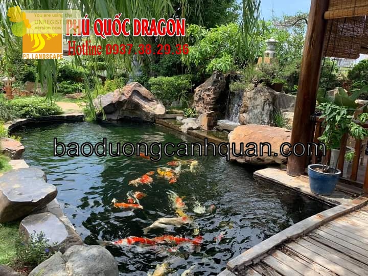Tư vấn thi công hồ cá Koi, sân vườn nhật ở HCM, Đồng Nai