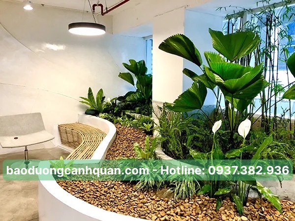 Cung cấp và cho thuê cây nội thất văn phòng ở Đồng Nai, TPHCM