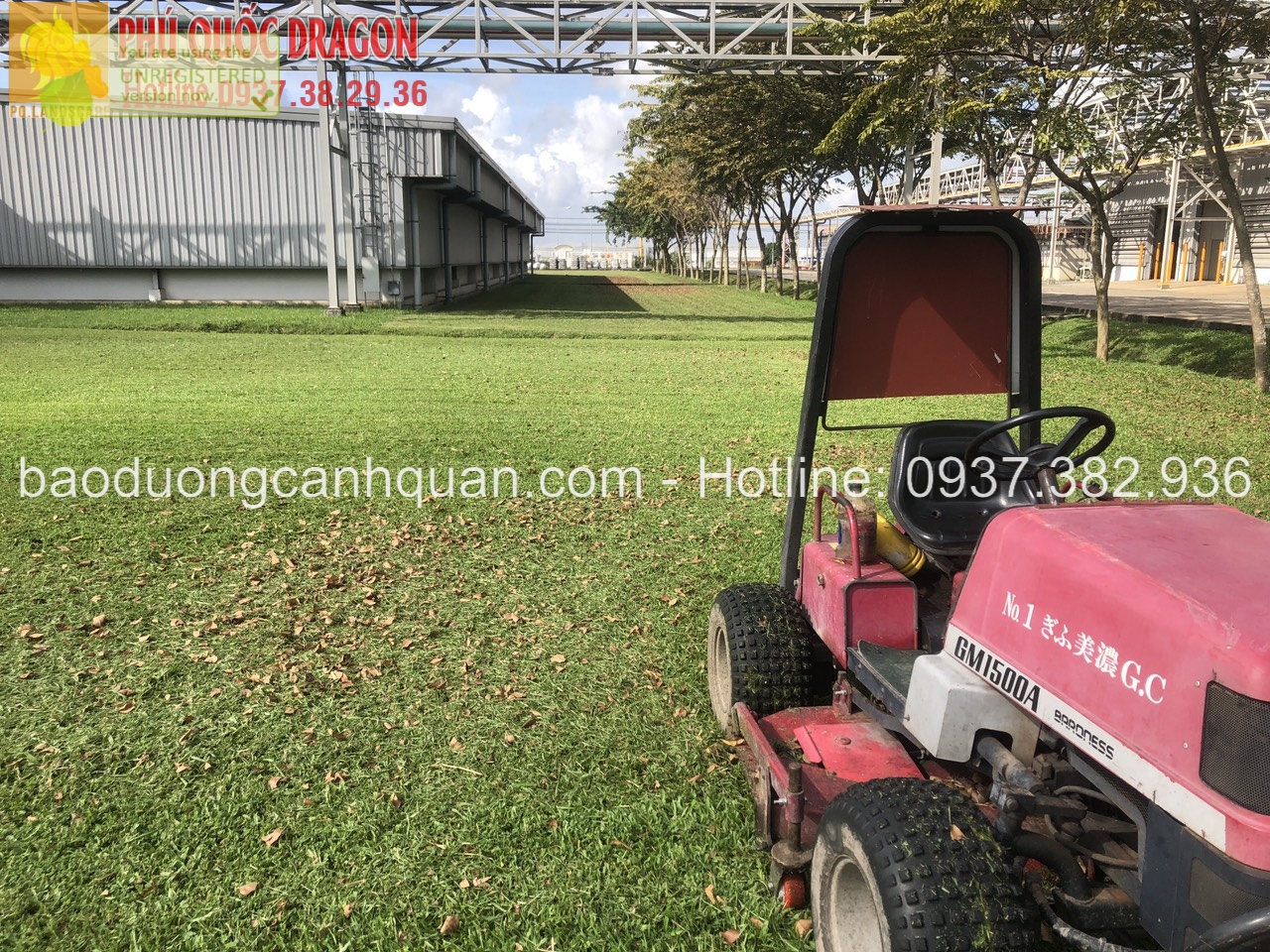 Cắt cỏ sân vườn, phát hoang cỏ dại ở TPHCM, Đồng Nai