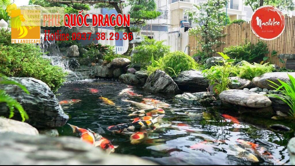 Thi công hồ cá Koi chuyên nghiệp đẹp ở Đồng Nai, TPHCM