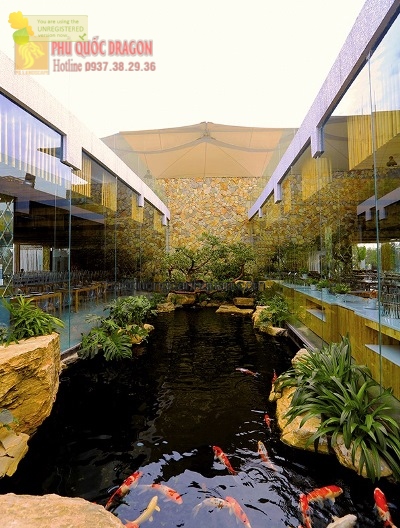Thiết kế thi công hồ cá Koi Nhật sân vườn ở TPHCM, Đồng NAi