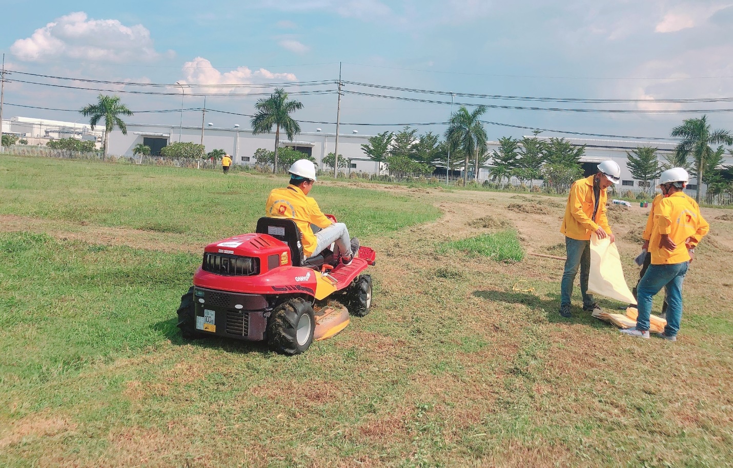 Cắt cỏ phát hoang giá rẻ tại Đồng Nai, HCM