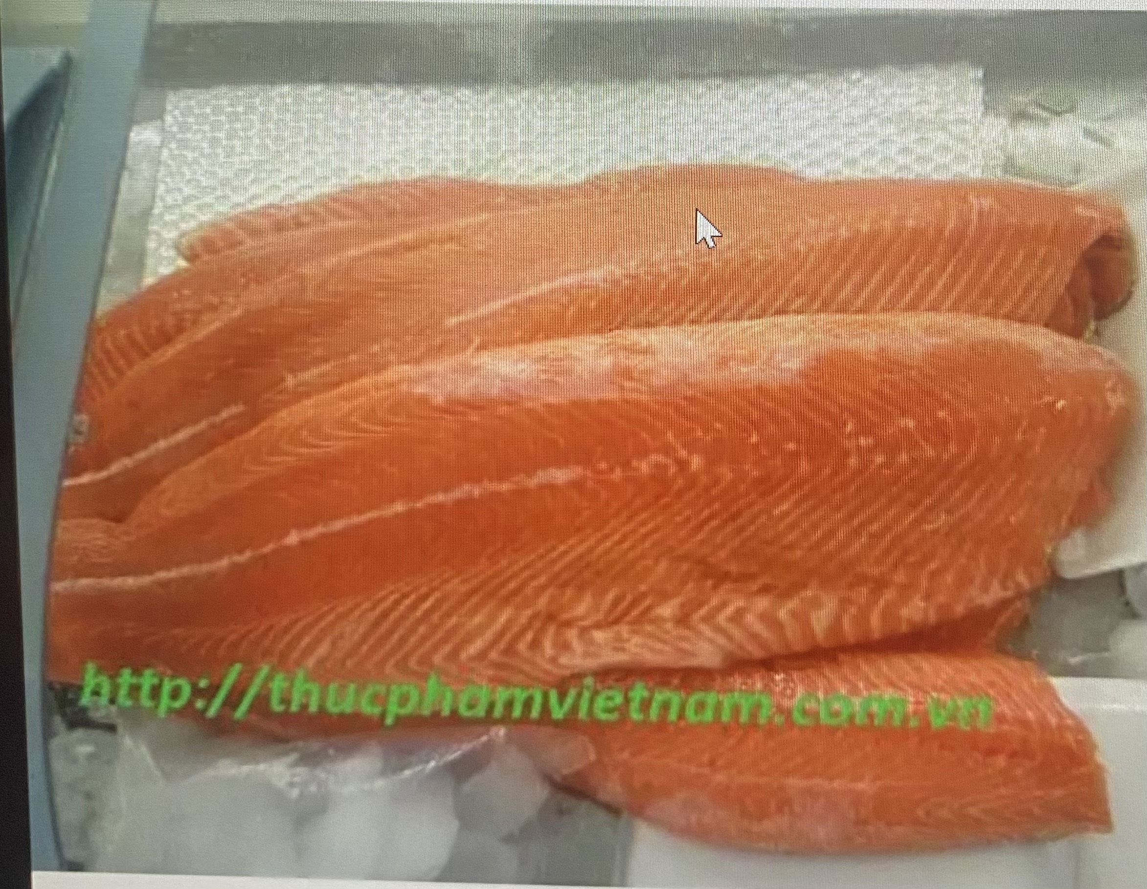 Cung cấp đủ loại cá hồi nhập khẩu giá tốt nhất trên thị trường Hà Nội